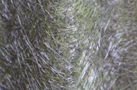 Ewood fibreglass roof work