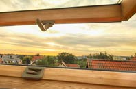 rated Ewood roof window companies